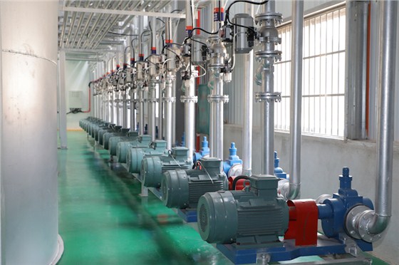 1635574868100080.jpg 3.jpg